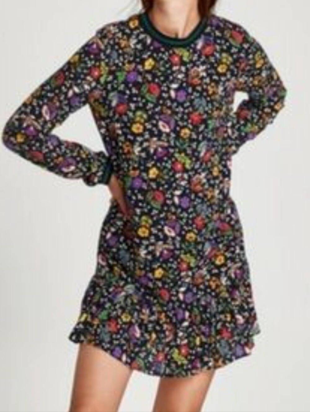 Zara Black Floral Stripe Trim Dress